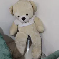 خرس تدی یک و نیم متری