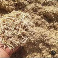 فروش فوری کاه