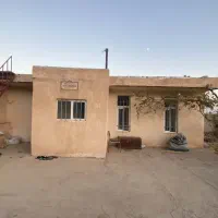 گاوداری مهدیشهر