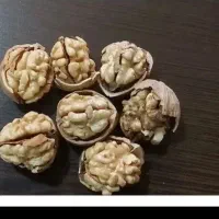 گردو|خوردنی و آشامیدنی|لنجان, |دیوار