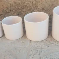 گل کلکسیونی|کلکسیون و سرگرمی|آبدانان, |دیوار