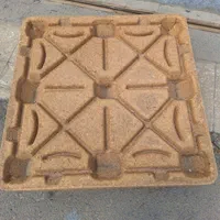 پالت نوپان