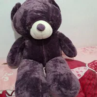 خرس یک متری