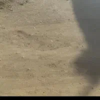 زمین-فروشی-ایزی