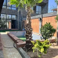 مشارکت در ساخت و مدیریت پیمان در منطقه ۱۰