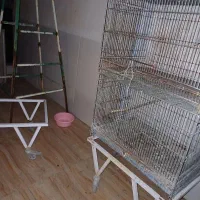 دوعدد قعس پژاوندی ۶۴در۴۰ همراه پایه