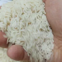 برنج طارم هاشمی اعلاء صد درصد خالص و طبیعی|حراج|قم, شهید صیاد شیرازی|دیوار