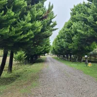 ادمین تولید محتوا