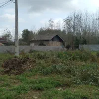 زمین سند دار با نامه بنیاد ۱میلیارد|فروش زمین و ملک کلنگی|رودبنه, |دیوار