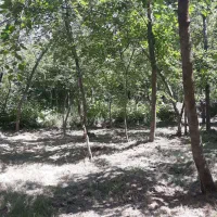 باغ مشجر در روستای مغان