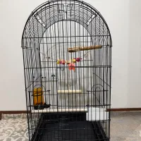 قفس پرنده