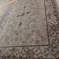 فرش ۱۲ متر نخی نو