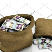 کار منزل با گوشی