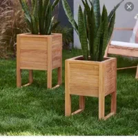 استندگل|گل و گیاه طبیعی|خمام, |دیوار