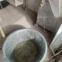 وسایل قنادی به فروش می رسد