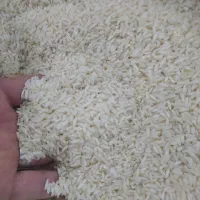 برنج معطر ممتاز دورود|خوردنی و آشامیدنی|الیگودرز, |دیوار