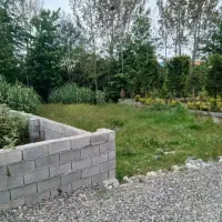 بافت-مسکونی-سند-ششدانگ-200-متر-جنگلی