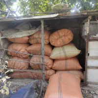 کاه خرد شده