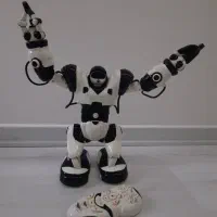 رباط کنترلی