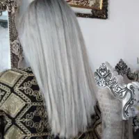 رنگ و مش