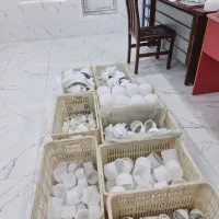 فروش لامپ LED تحویل درب منزل