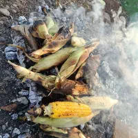 راهنمای طبیعت و افسردگی