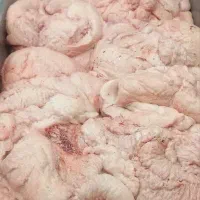 دنبه بره نرینه