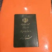 کارت ملی گم شده پیرفرخان