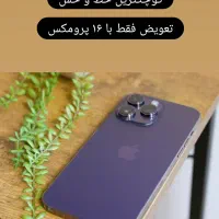 پرومکس ۱۴ بادمجانی