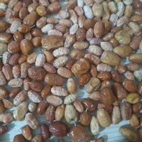 سنجد|خوردنی و آشامیدنی|تهران, بلوار کشاورز|دیوار