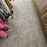 ۶ عدد فرش|فرش|مشکین‌دشت, |دیوار