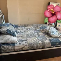 سرویس خواب|تخت و سرویس خواب|تهران, سازمان برنامه جنوبی|دیوار