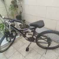 دو چرخه بزرگسال