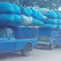 کاه 12000تومان