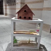 قفس پرنده حرفه ای دست ساز