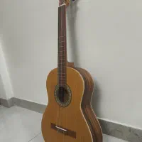 گیتار پارسی p80