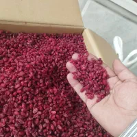 زرشک پفکی|عمده‌فروشی|قائن, |دیوار