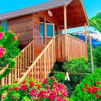 ساخت کلبه چوبی وخدمات نجاری