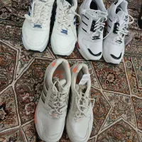 zx golf