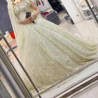 لباس عروس نباتی وارداتی ترک|لباس|تهران, نازی‌آباد|دیوار