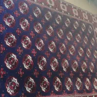 قالی دست بافت|فرش|آق قلا, |دیوار