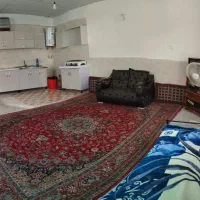 منزل اجاره روزانه|اجارهٔ کوتاه‌مدت آپارتمان و سوئیت|شیراز, سعدیه جنوبی|دیوار