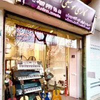 تدریس تضمینی و خصوصی موسیقی ( در منزل و اموزشگاه)