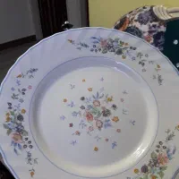 سرویس آرکوپال اصل فرانسه ۱۱۰ پارچه آکبندمناسب جهاز