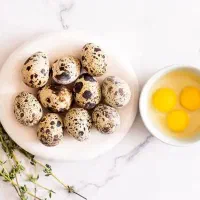 تخم بلدرچین