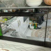 سالم و کم استفاده شده نهایتا ۵مرتبه