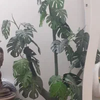 تعدادی لوازم دکوری منزل و کناره فرش|صنایع دستی و سایر لوازم تزئینی|سبزوار, غرب نیروگاه|دیوار