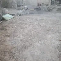 سگ‌نر۲ساله