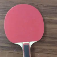 دسته پینگ پنگ|ورزش‌های توپی|مشهد, کوی ولیعصر|دیوار