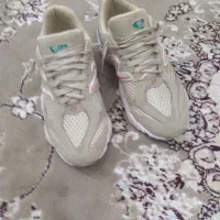 کتونی|کیف، کفش، کمربند|چالوس, |دیوار